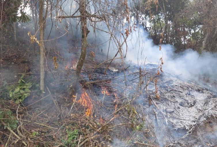 Antioquia refuerza campañas de prevención tras registrar 15 incendios el año anterior
