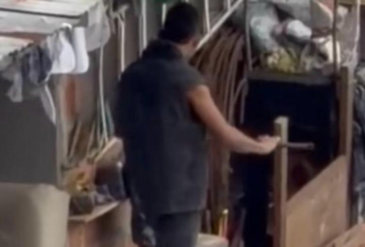 En la grabación se observa que incluso menores de edad participaron en la agresión al canino.