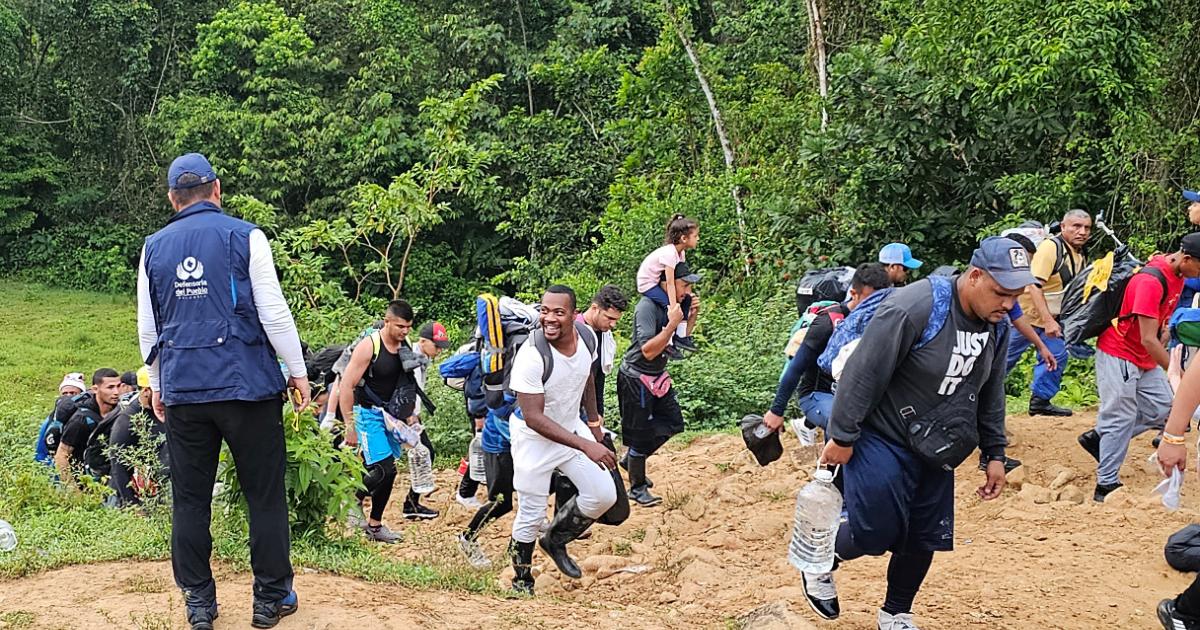 Durante el gobierno de Gustavo Petro más de 40 mil colombianos han cruzado de forma irregular la selva del Darién