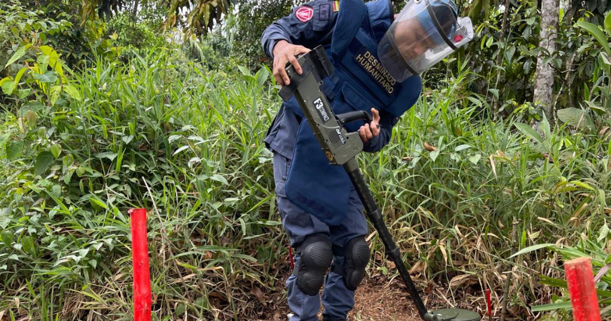San Carlos Antioquia es libre de sospecha de minas antipersonal tras despeje de 24.000 m²