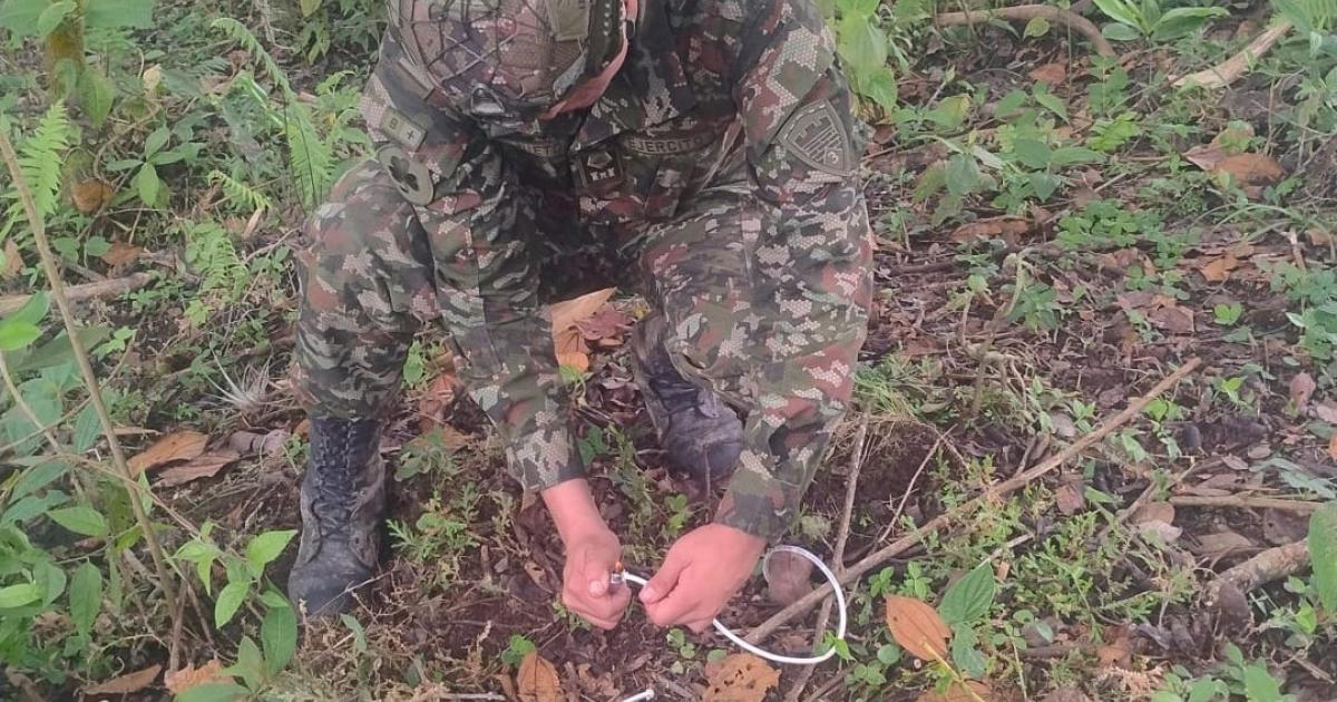 Denuncian instalación de minas antipersonal cerca de viviendas en Valdivia, Antioquia