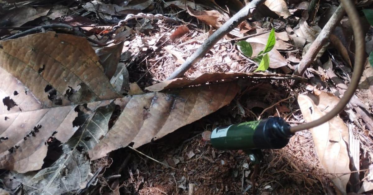 Menor que habría sido reclutado por las disidencias, entre las cuatro víctimas de artefacto explosivo en Anorí