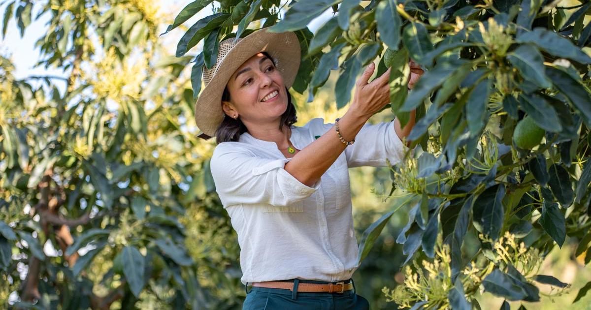 “Un paso histórico para el sector”: Corpohass celebra eliminación del arancel recíproco del 10% por EE.UU.