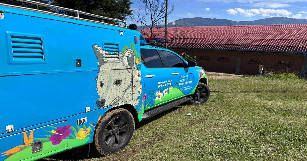 También están afectados: Autoridades atienden animales tras la tragedia en Bello