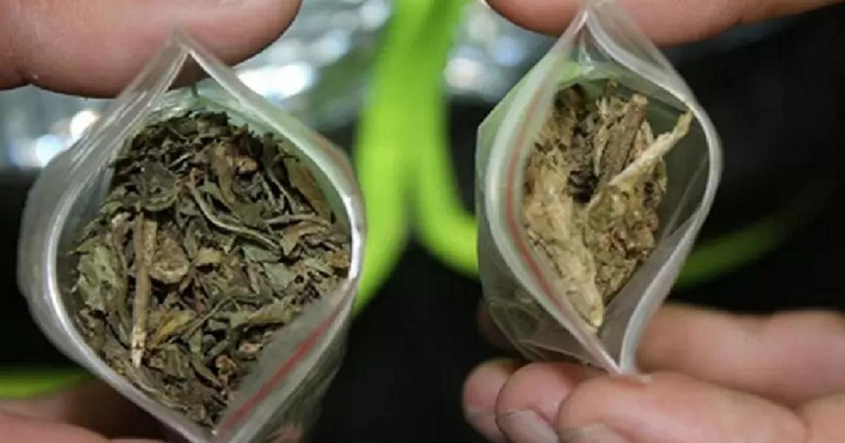 Lo condenaron por llevar en una caja de cartón marihuana y cocaína en un vehículo en Medellín