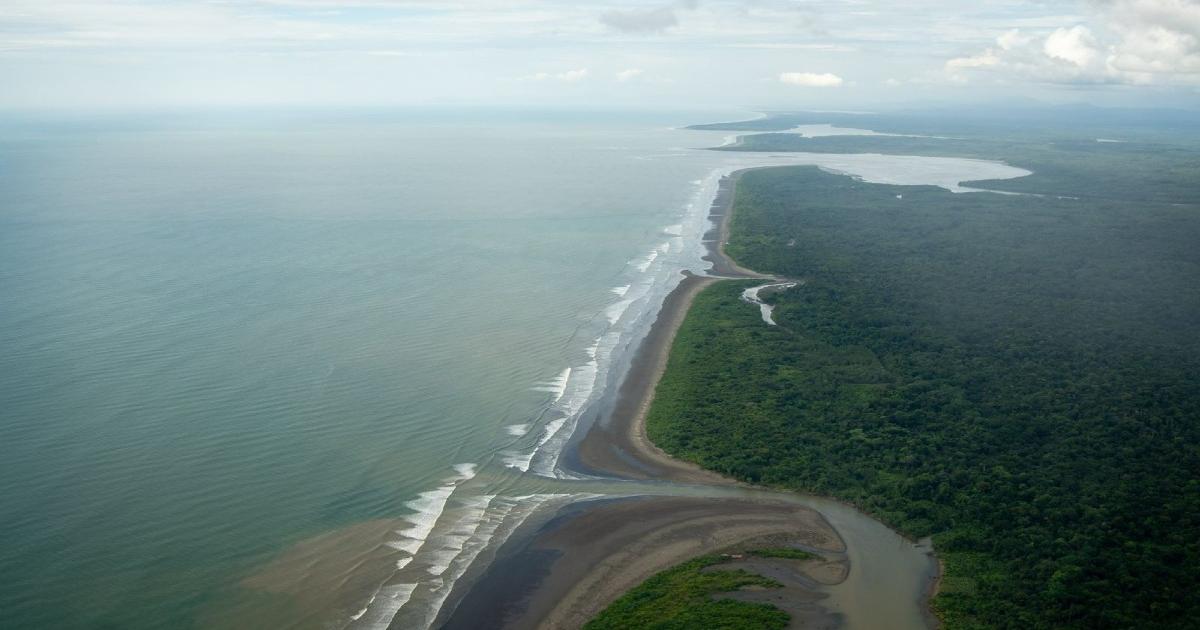Chocó fuera de peligro: levantan alerta de tsunami tras terremoto en Rusia