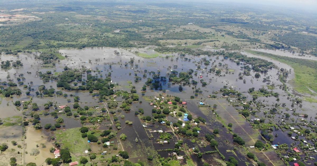 Adelantan estudios y diseños para las obras que mitiguen el riesgo por inundación y erosión en Caucasia