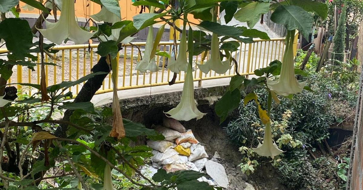 Andén en el barrio El Picacho está a punto de colapsar y pone en riesgo las viviendas; piden intervención urgente