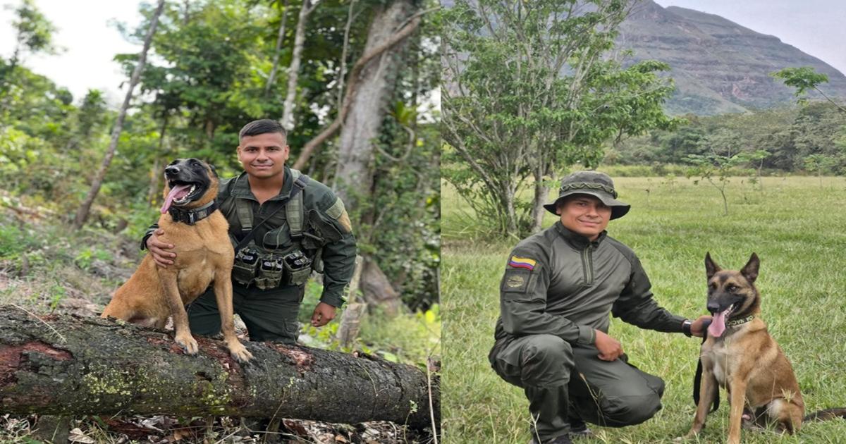 “Yo quiero verla, porque si no viene, no me va a ver vivo”: las últimas palabras de policía asesinado a su madre