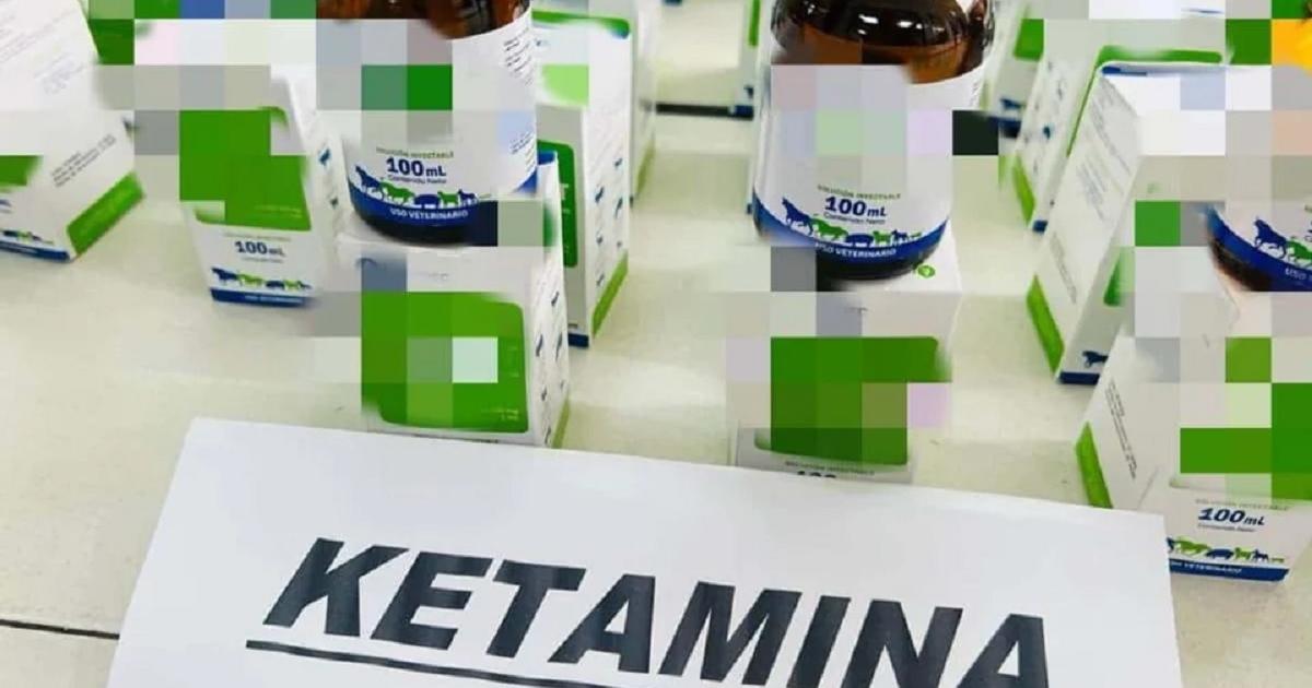 Condenada mujer que escondía frascos de anestésico, utilizado para fabricar estupefacientes, en vivienda de Medellín