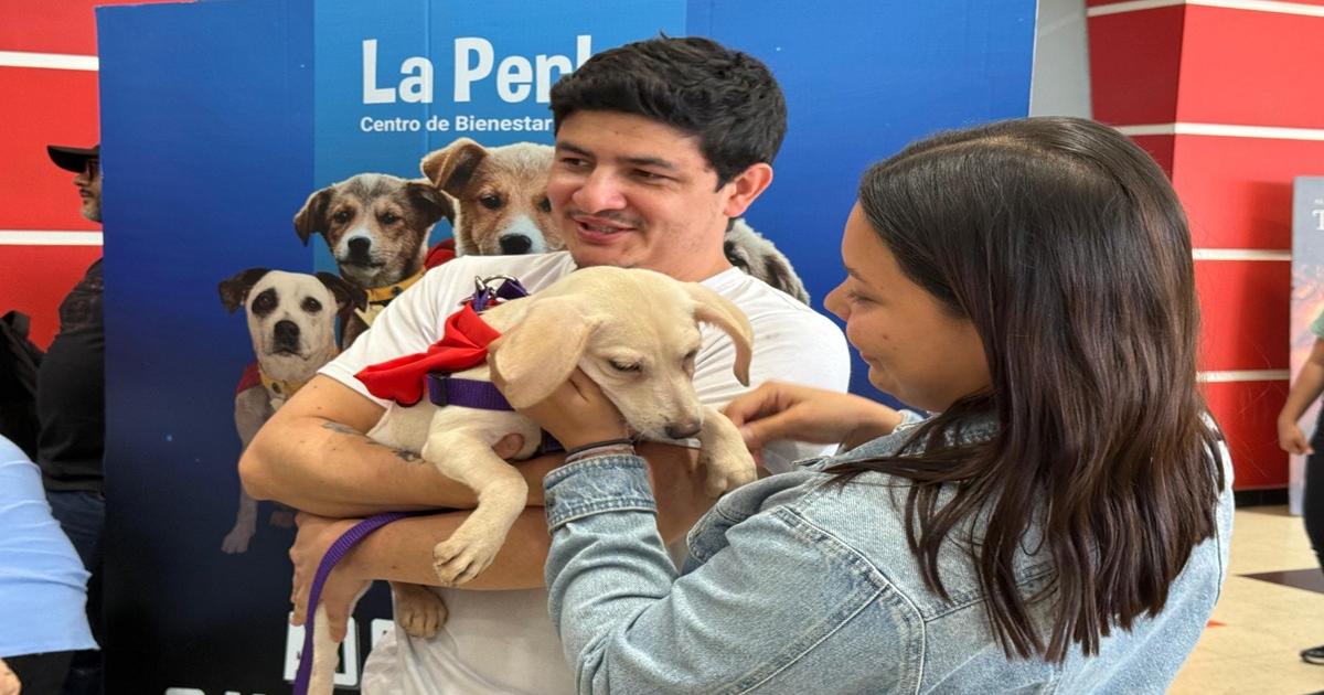 Avanza en la campaña “Adopta un Superhéroe”, 17 caninos fueron adoptados durante el fin de semana