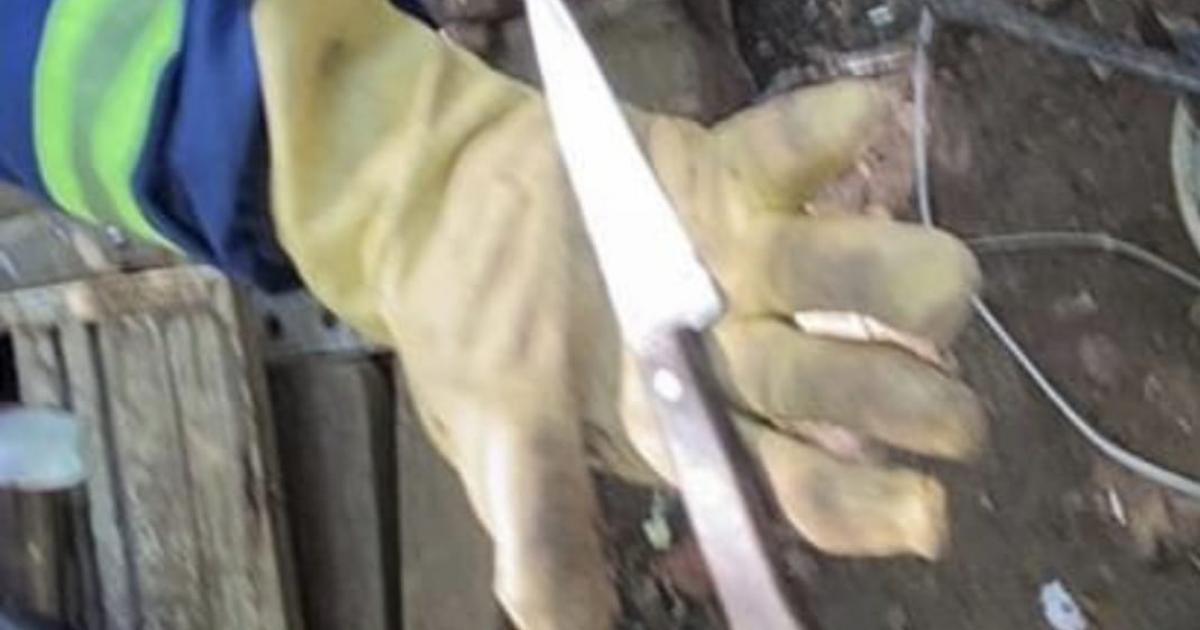 [Fotos] Desmantelan cambuches en Medellín: Encontraron cuchillos y machetes de habitantes de calle