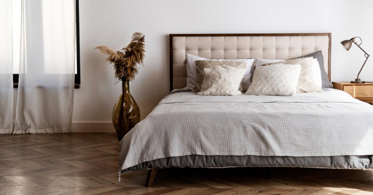 ¿Dormir con mascotas incrementa el riesgo de ácaros, superbacterias y hongos en la cama? Esto dicen los expertos