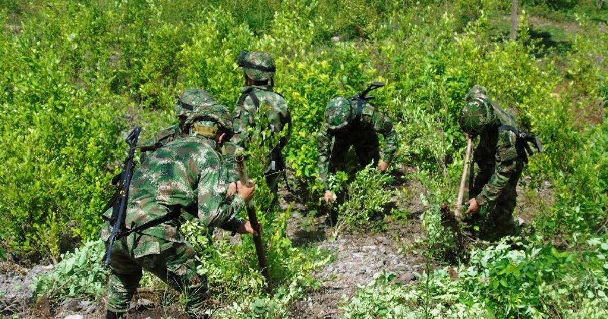 Antioquia lamentó la descertificación de Colombia en su lucha contra las drogas