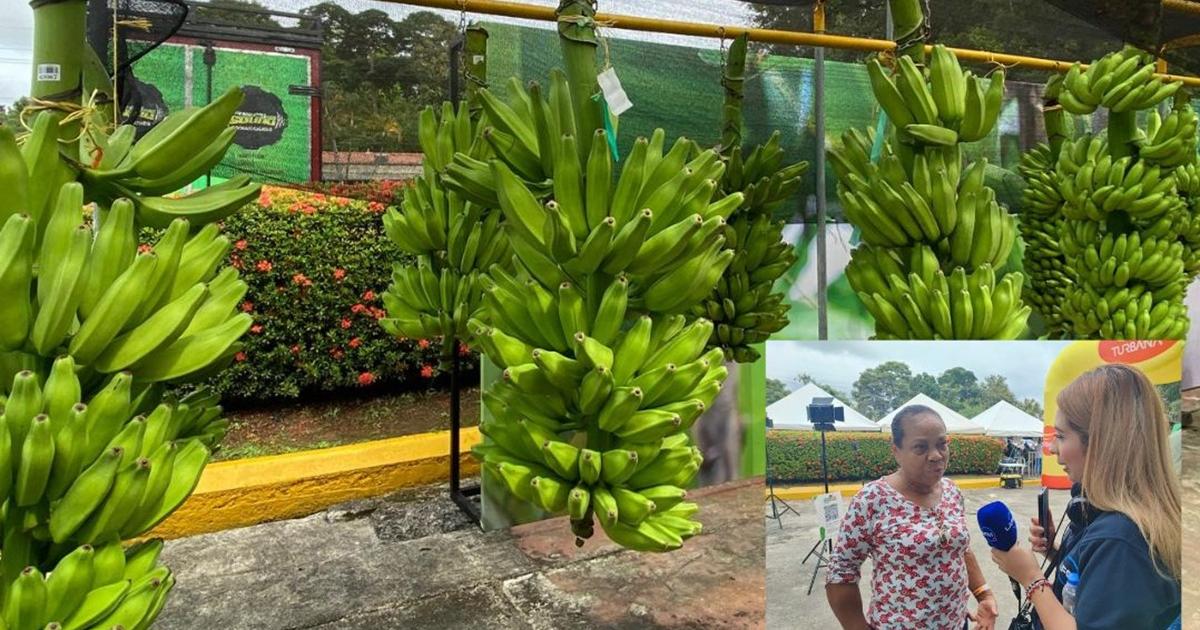 “Sufrí bastante cuando mataron a mi mamá y hermanos”: productora de plátano cuenta su historia