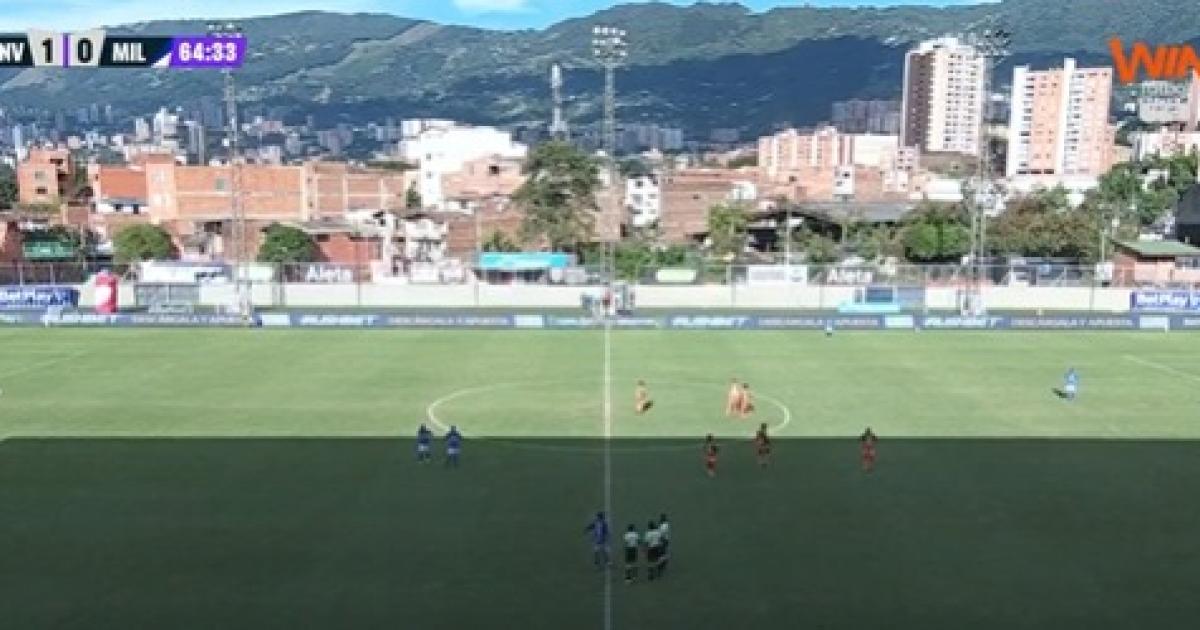 Ataque de abejas interrumpió el juego entre Envigado y Millonarios