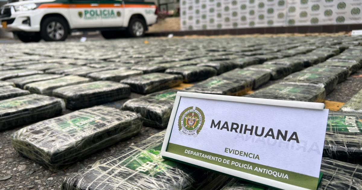 Incautan tonelada de marihuana camuflada dentro de un camión en Caldas: valorada en $1.000 millones