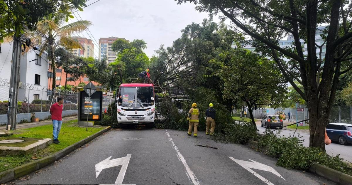 Gigantesco árbol cayó sobre un bus cerca al hospital Pablo Tobón Uribe de Medellín
