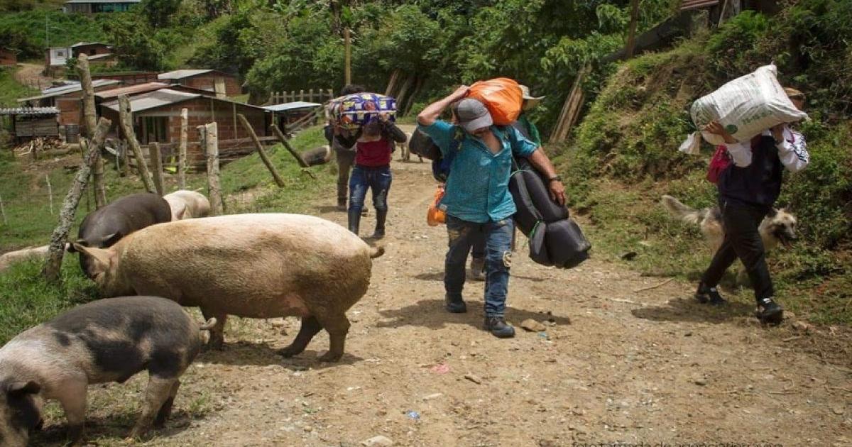 Procuraduría hizo llamado urgente a los Ministerios de Defensa y del Interior por crisis humanitaria en Briceño