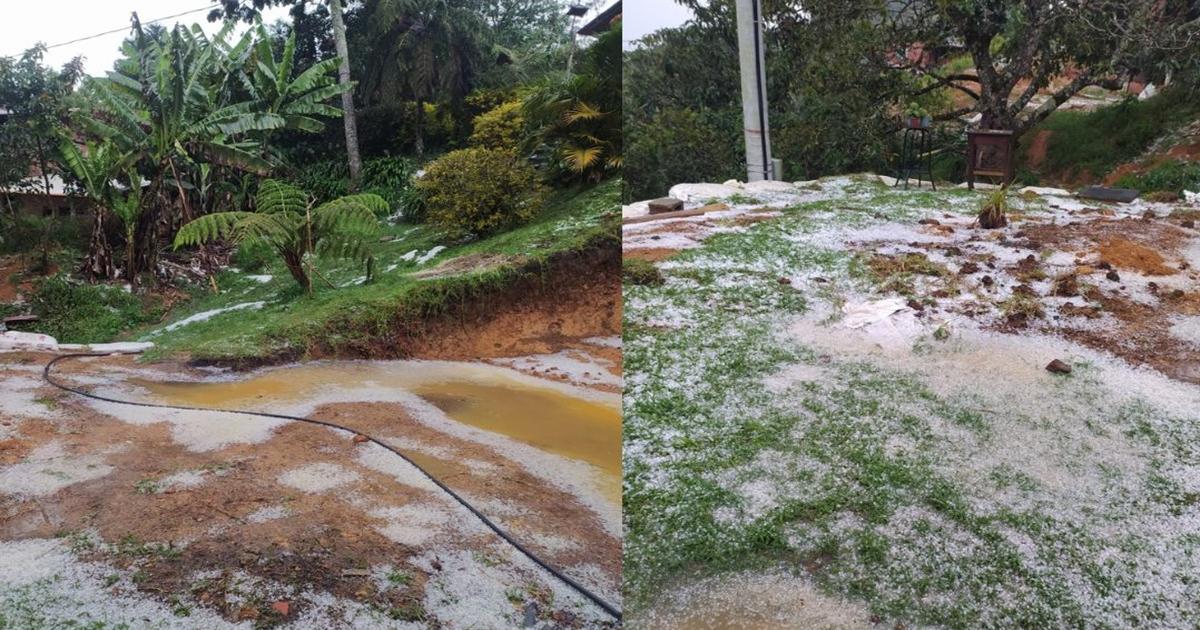 Cultivos afectados deja fuerte granizada en el municipio de Guarne, oriente antioqueño