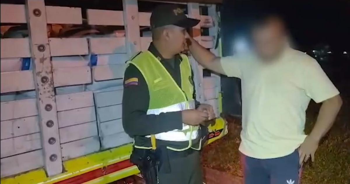 Llevaba 30 paquetes de “cilantro salvaje”: El operativo se efectuó en Caldas, Antioquia