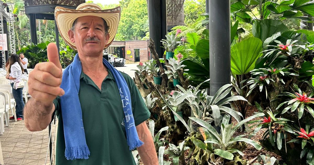 Colombia registró la mejor venta de café de los últimos 33 años: 14 millones de sacos en el último año