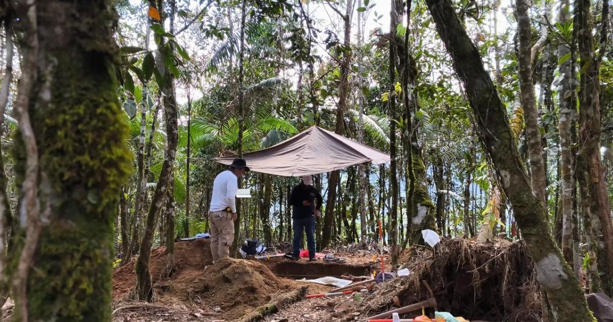 Hallaron tres cuerpos en dos fosas comunes en San Francisco: autoridades investigan posible crimen múltiple