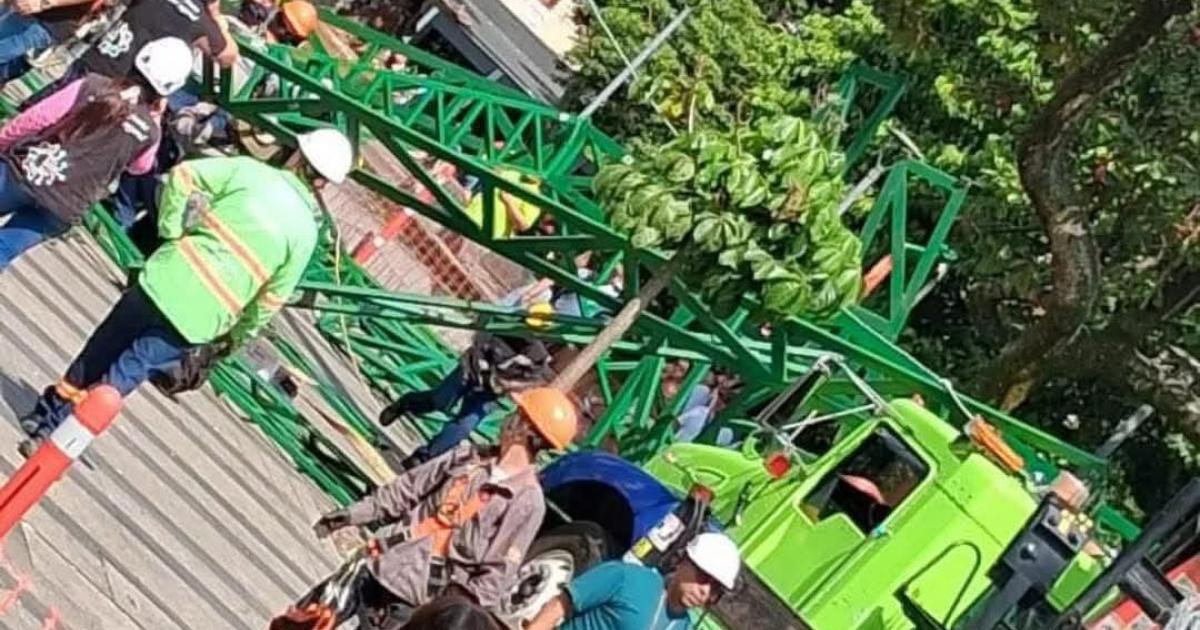 Se cayó enorme árbol de navidad en Envigado: la estructura no dejó personas afectadas de gravedad