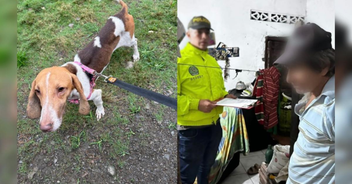 Investigan si adulto mayor habría abusado de una perrita en Dabeiba