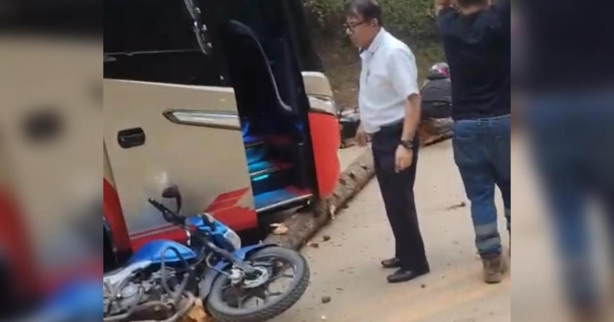 Dramática emergencia en Cañasgordas: caída de un árbol deja un trabajador en estado crítico y dos heridos más