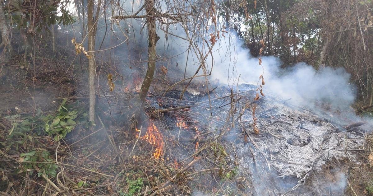 Antioquia refuerza campañas de prevención tras registrar 15 incendios el año anterior