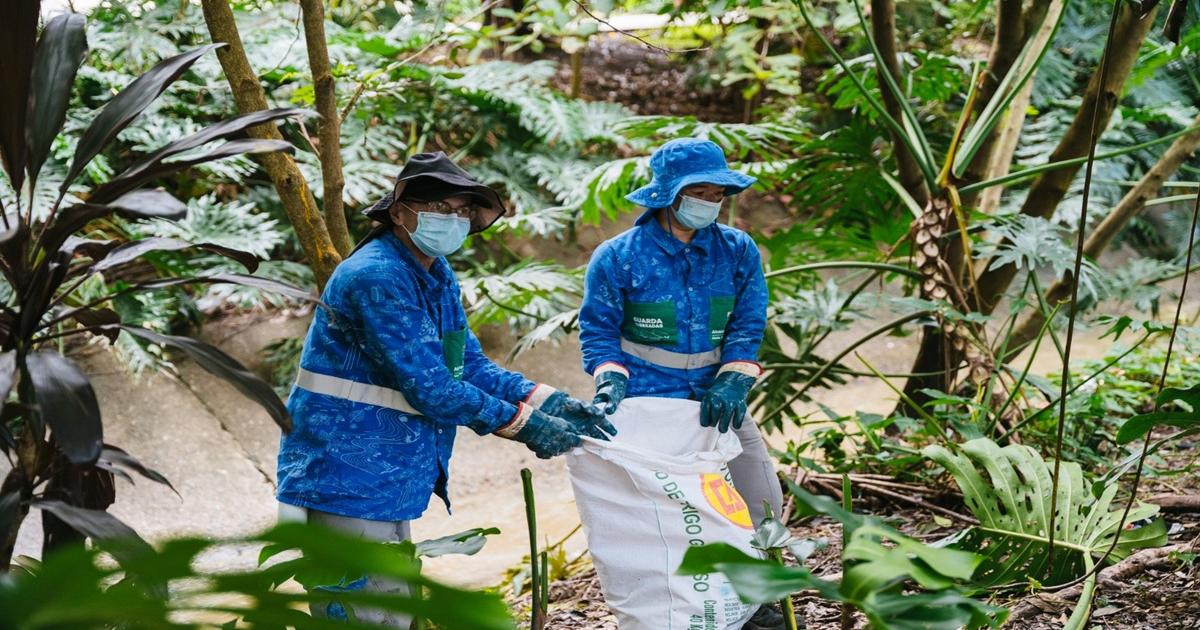 Medellín avanza en la recuperación y protección de sus quebradas con el proyecto 'Mi Río, Mis Quebradas'