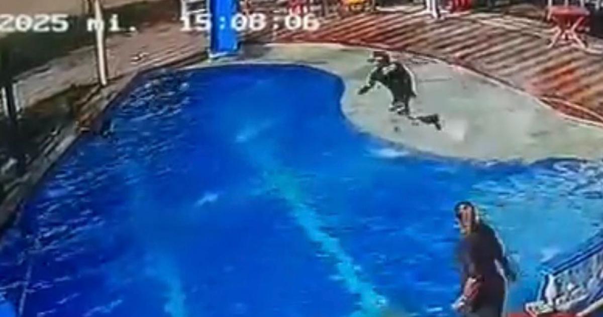 Patrullera se zambulló con uniforme para rescatar a niña que se ahogaba en Antioquia