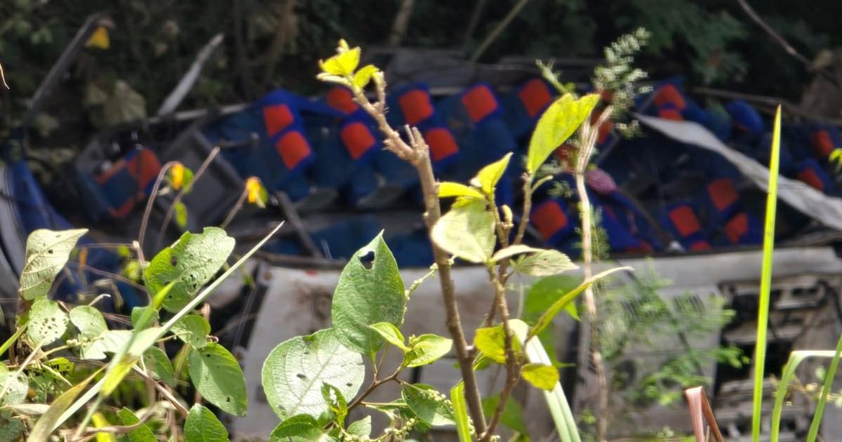 "Comeré natilla y buñuelo el 31": sobreviviente al accidente en Antioquia agradece a quienes lo ayudaron a salir del abismo