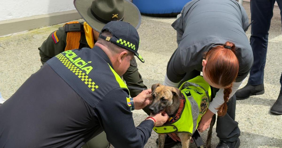 [FOTOS] Bizcocho dejó atrás el dolor y ahora chicanea su uniforme de policía