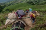 Crecen las amenazas de grupos armados en el Tolima: Familias huyen para salvar sus vidas