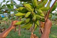 Inversión en el Urabá antioqueño 