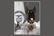 Sansón