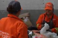 En feria de flores se recogieron 20 toneladas de residuos sólidos en Medellín 