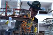 Aves incautadas en Medellín