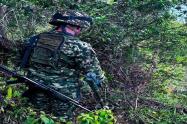 Cuatro explosivos fueron ubicados y destruido en zona rural del municipio de Briceño (Antioquia) 