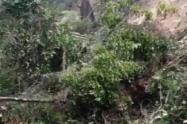 Taponamiento de vías en Argelia, Antioquia