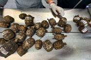 Tráfico ilegal de tortugas morrocoy en el Valle de Aburrá