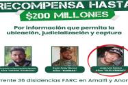 Dado de baja alias 'Guillermino'