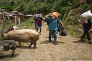 Desplazamientos en Antioquia