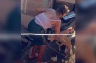 Indignación en Caucasia: Adulta mayor atacó con machete a su perro indefenso y amarrado 