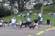 Los 33 perros más longevos del Centro de Bienestar Animal hicieron parte de una “Un paseo lleno de amor"