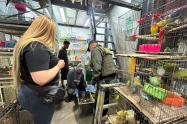 Operativo policial recupera 64 animales domésticos de La Plaza Minorista: Estaban hacinados, maltratados y con deficiente atención sanitaria