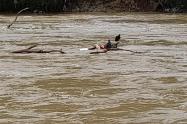 Cadáver en aguas del rio Medellín
