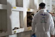 Intervención UBPD en cementerio de Caldas, Antioquia 